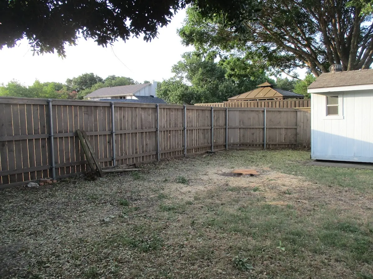 Cleared yard after professional tree removal in Thomasville